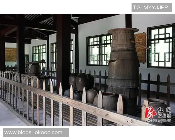 万隆与河内的文化交汇与发展探讨：历史背景与未来展望