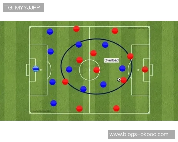 成都排球队防守体系解析与战术应用探讨